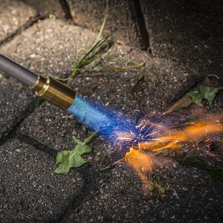 Remove Weeds With A Torch Weed Burner, Garden Torch Weed Burner